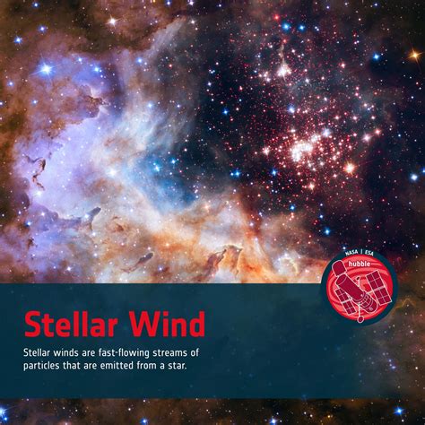 Stellar Wind brabet